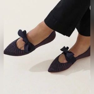 NWOT Rothy’s Mary Jane Ballet Flat in Twilight Metallic